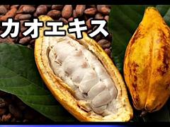 Любители, Азиатки, Большой член, Большие сиськи, Японки, От первого лица, Молоденькие, Сиськи