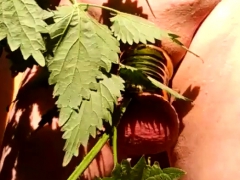 Sadomasochismus, Fetisch, Hd, Masturbation, Nippel, Im freien, Öffentlich, Spanner