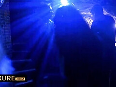 Mooi, Bruinharig, Schattig, Hd, Feest, Klein, Kut duiken, Tieten likken