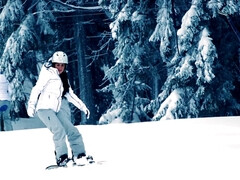 Mamada, Morena, Corridas, Polla, Estilo perrito, Gorda, Afeitado, Tetas