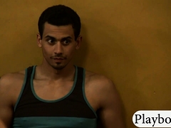 Blondine, Braunhaarige, Gruppe, Hd, Realität