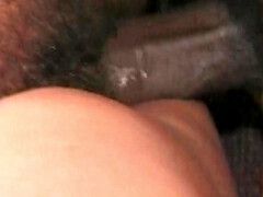 Большая жопа, Большие сиськи, Минет, Брюнетки, Семяизвержение, Член