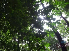 Corridas faciales, Orgasmo, Al aire libre, Pov, Público, Coño, Tetas, Mojado