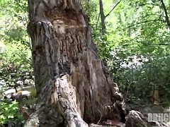 Bruinharig, Buiten, Openbaar