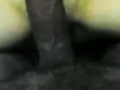 Amateur, Cornudo, Hd, Pov