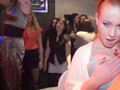 Любители, Большой член, Минет, Сборник, Ласковые ручки, Оргии, Вечеринка