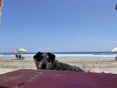 A Taste Of Our Life In Ecuador!