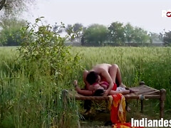 Bruinharig, Hd, Indisch