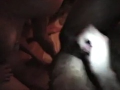 Anaal, Homo, Groep, Orgie, Feest