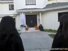 Grosser schwanz, Schwarz, Schwanz, Interrassisch