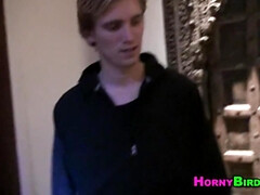 Bruinharig, Moeder die ik wil neuken, Feest