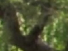 Leie, Blasen, Hundestellung, Handjob, Masturbation, Im freien, Pov, Hintern versohlen