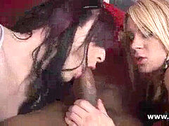 Leie, In den arsch, Britisch, Lingerie, Transfrau, Flotter dreier