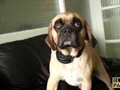 イギリス人, 浮気する, Hd, 下着, ピアス, スパンキング, ストッキング, タトゥー