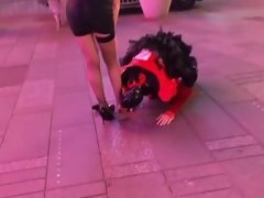 Femme dominatrice, Public