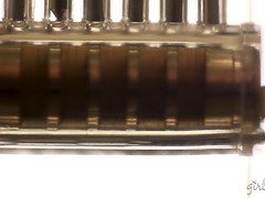 Américain, Plantureuse, Hd, Lesbienne, Mature, Mère que j'aimerais baiser, Chatte, Plan cul à trois