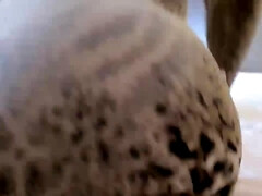 デカチン, チン, 医者, 自家製, レズビアン, 淫乱熟女, 小柄, おもらし