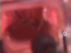 アジア人, 日本人