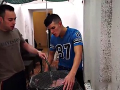 Anaal, Pijpbeurt, Homo