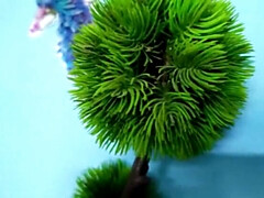 Cuarto de baño, Dominación, Hembra, Penetracion con dedos, Hd, Casero, Masturbación, Vibrador