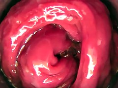 Amateur, Béant, Jouets