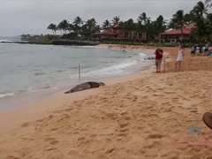 素人, ビーチ, ビキニ, 指いじり, 露出狂, 彼女, アウトドア, おもらし