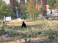 Penetracion con dedos, Despelote, Masturbación, Orgasmo, Al aire libre, Coño, Afeitado, Bajo la falda