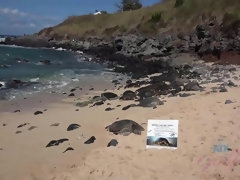 浴室, ビキニ, フェラチオ, 公共, ガリガリ, 喫煙, 靴下, オッパイの