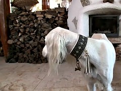 Perfect weekend pick-ups