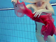 Redhead in the pool