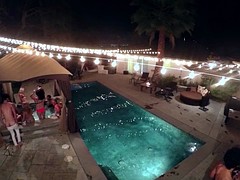 Cougars had a party have fun by the pool
